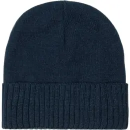 FWRD Summit Beanie Navy